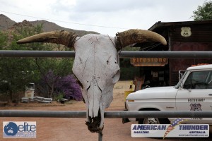 005-IMG_0063    